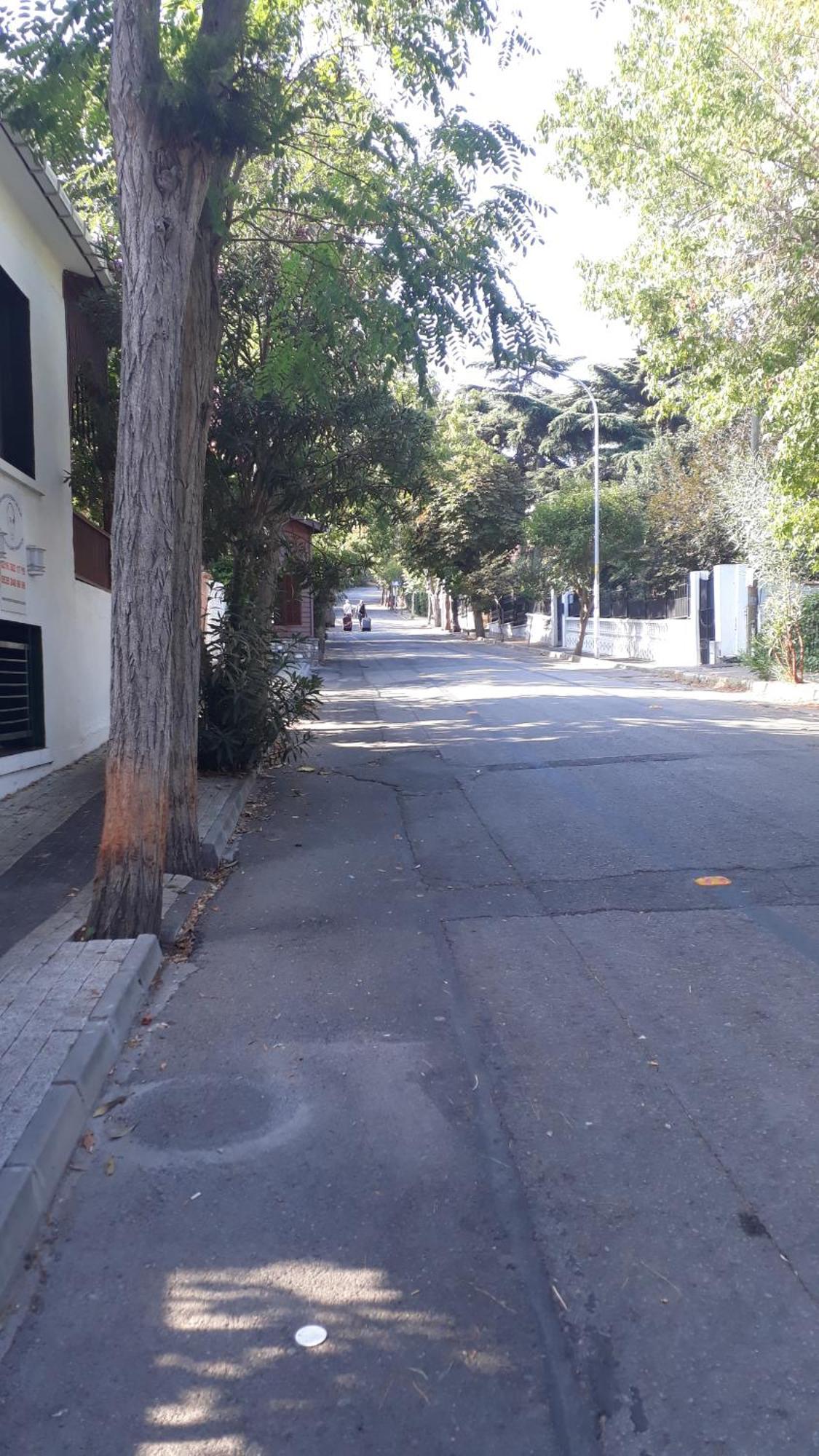 Orhan Kutbayin Evi Adalar Rum bild